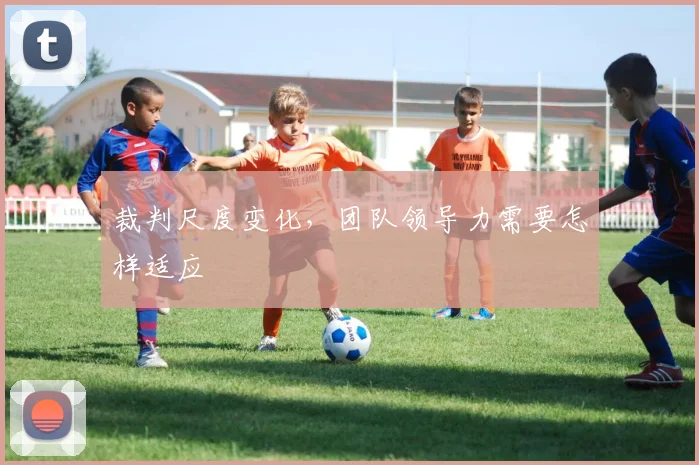 裁判尺度变化,团队领导力需要怎样适应
