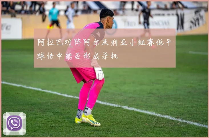 阿拉巴对阵阿尔及利亚小组赛低平球传中能否形成杀机