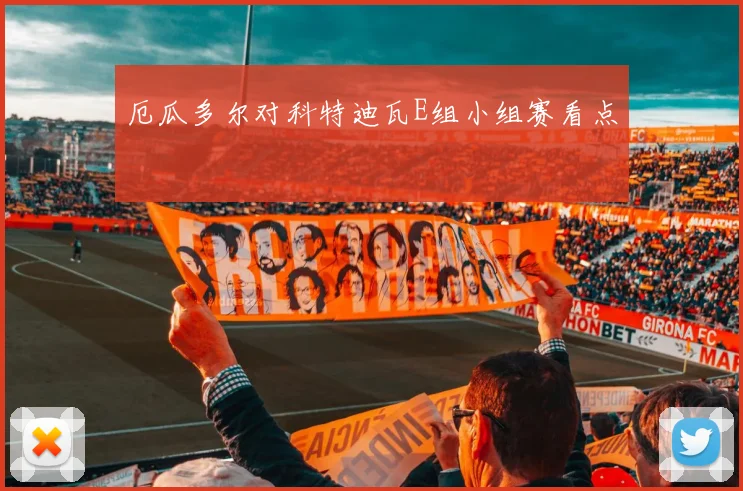 厄瓜多尔对科特迪瓦E组小组赛看点