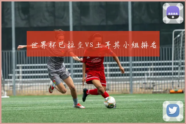 世界杯巴拉圭vs土耳其小组排名