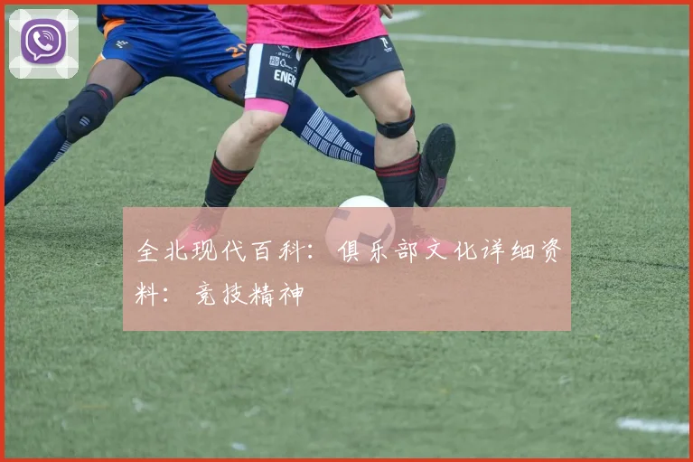 全北现代百科:俱乐部文化详细资料:竞技精神