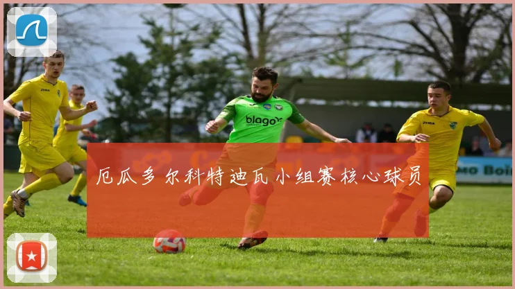 厄瓜多尔科特迪瓦小组赛核心球员